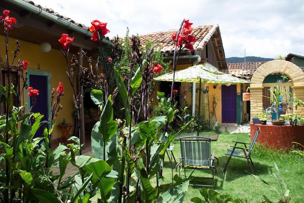 Bed and Breakfast Jaguar You Сан-Кристобаль-де-Ла-Касас Экстерьер фото